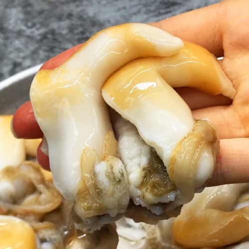 단독창고: 손질 노랑새조개 500g