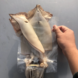 동해창고: 반건조 오징어 1.2kg급